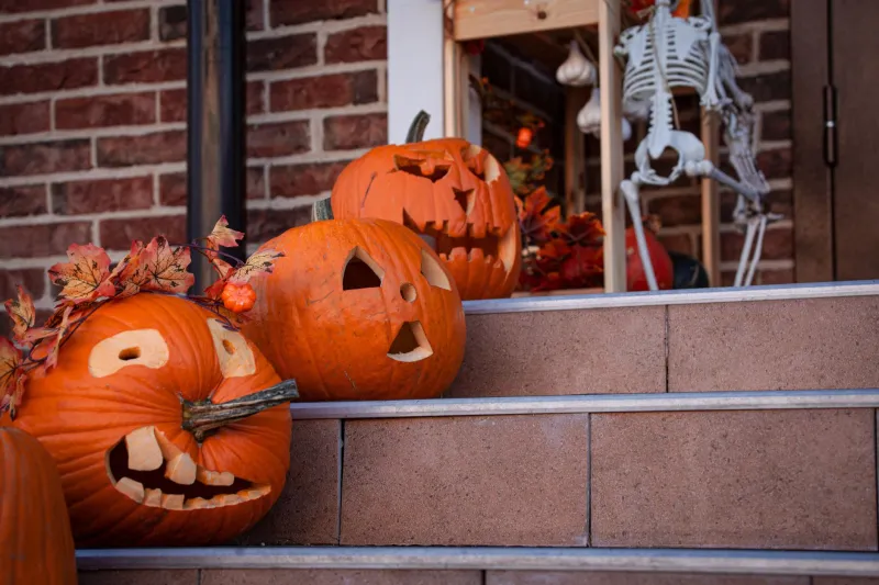 Porch Scares and Plastic Skeletons: Meet the Fans Who Turn Their Lawns Into Haunted Attractions Every October